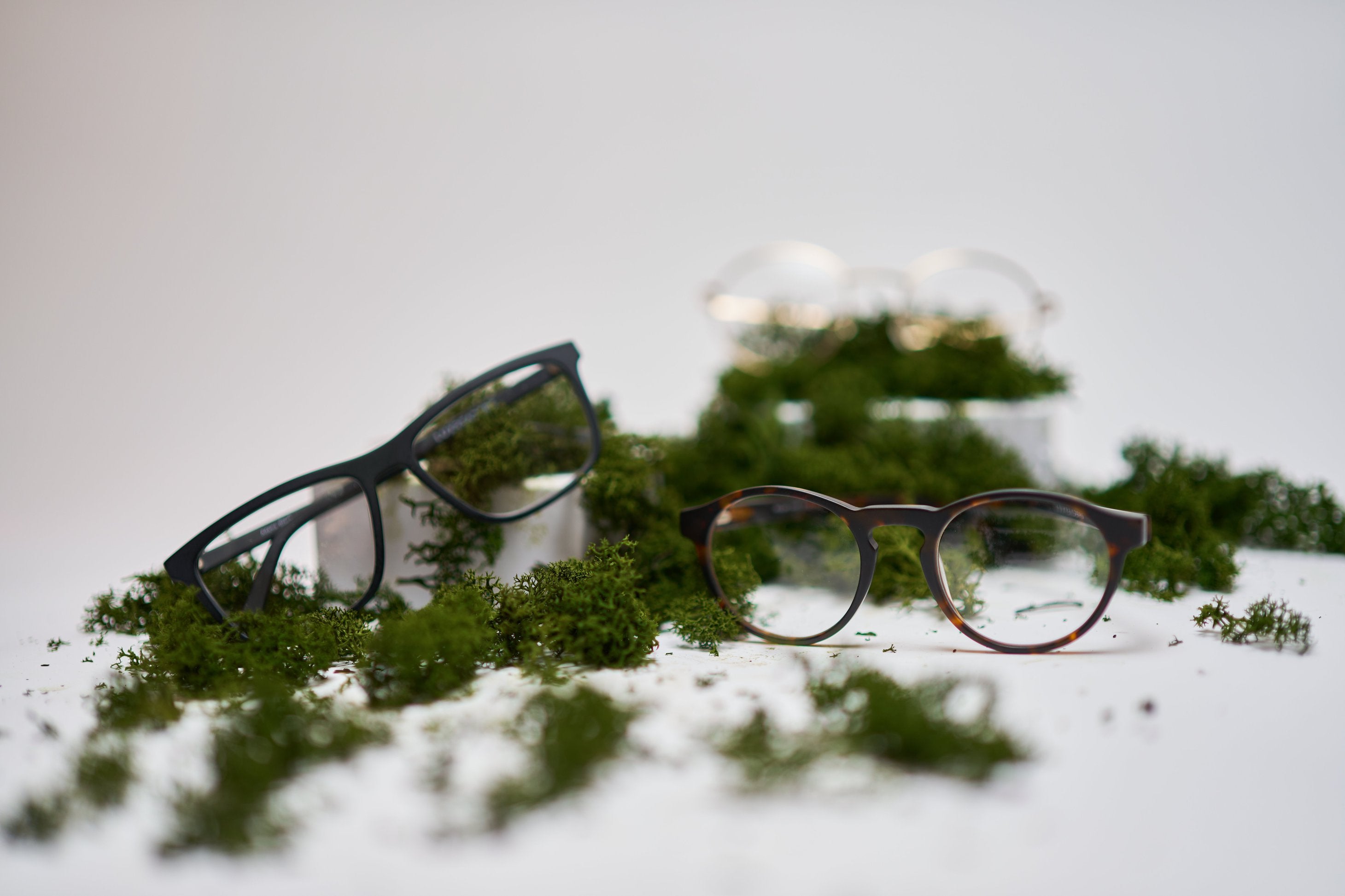 Three pairs of eyeglasses rest on a bed of green moss against a white background, showcasing different frame styles.