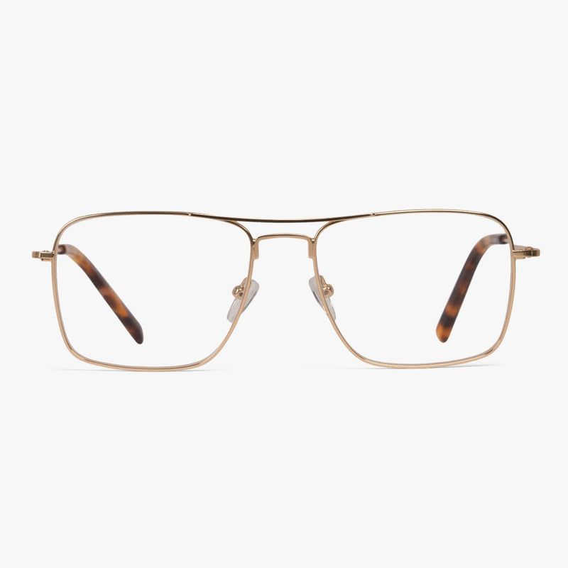 Lidköping Gold rectangular glasses with gold frame and tortoiseshell temples