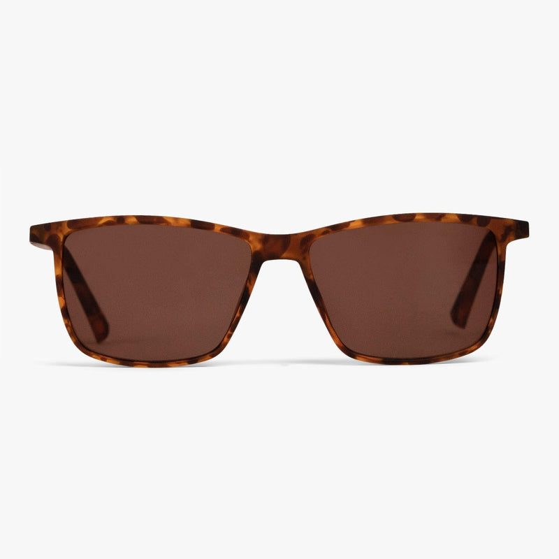 Men's København Turtle sunglasses in tortoiseshell with brown lenses