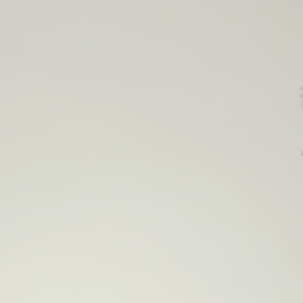 Luxreaders stylish Men's Tromsø Black Sunglasses. Made from Stainless steel in a Round shape.